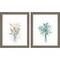 Farmhouse Cotton No Words Neutral by Beth Grove, 2 Piece Rustic Gray Framed Art Set